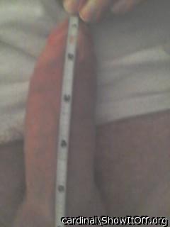 Photo of a love stick from cardinal