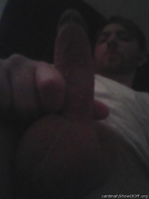 Photo of a boner from cardinal