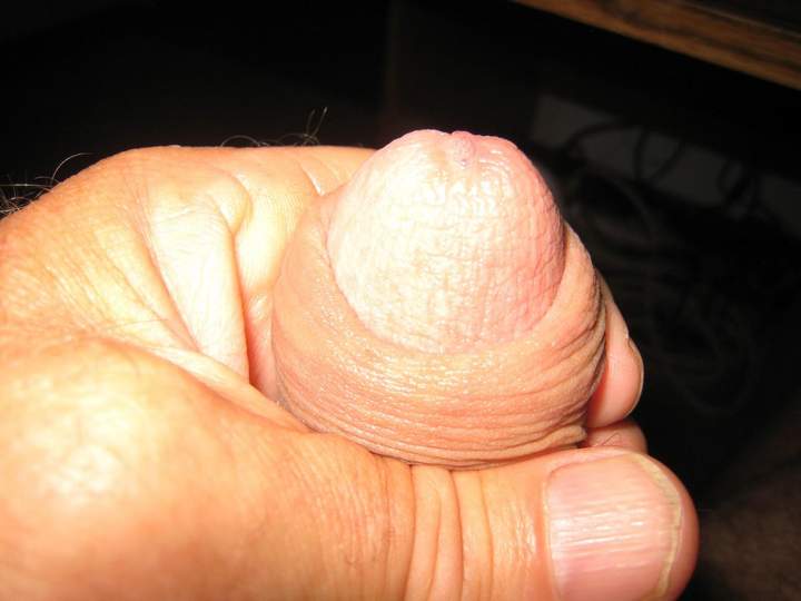 Photo of a power tool from brewsky47