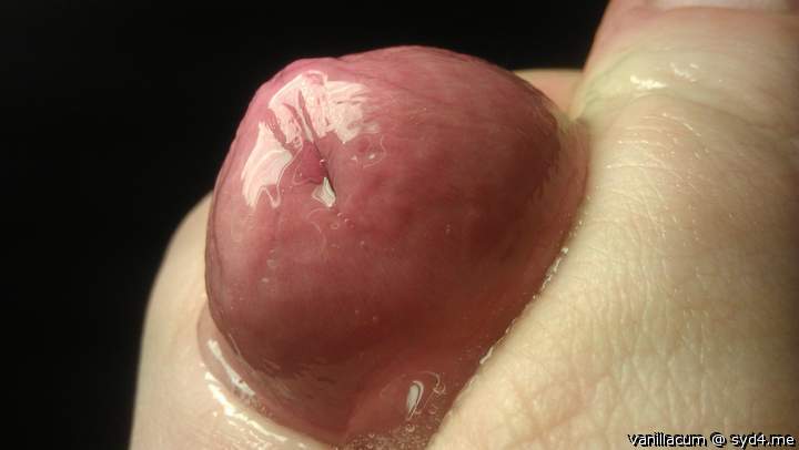 Photo of a stiffie from Vanillacum