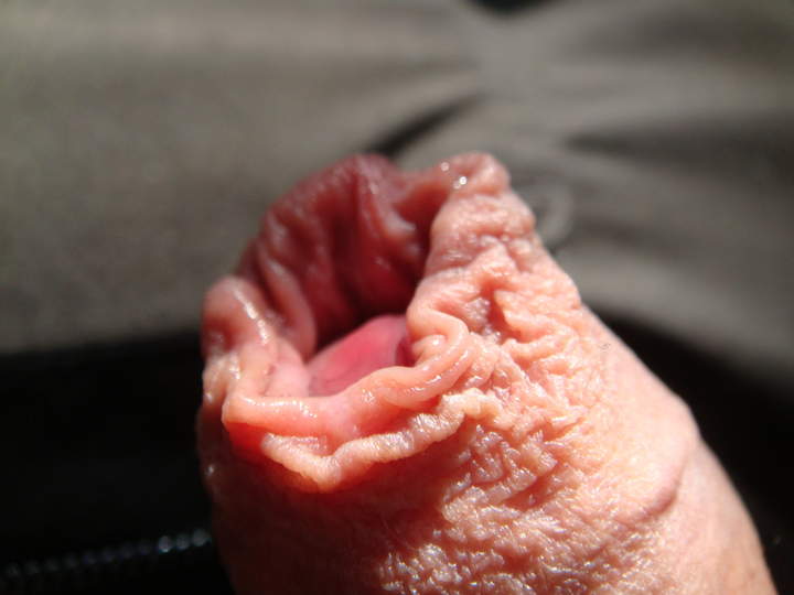 Photo of a third leg from sivad666