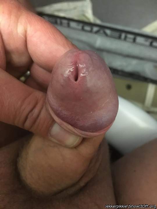 Photo of a prick from lekkerpikkie