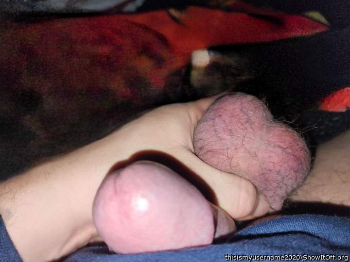 Lonely day. Someone needs attention