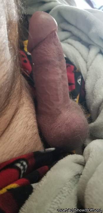Some morning wood