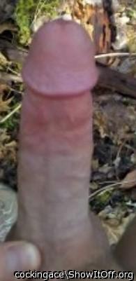 Fantastic cock!