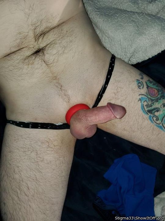 Photo of a bat from Stigma33