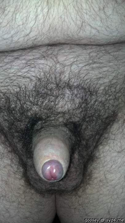 Photo of a one-eyed monster from Goosey