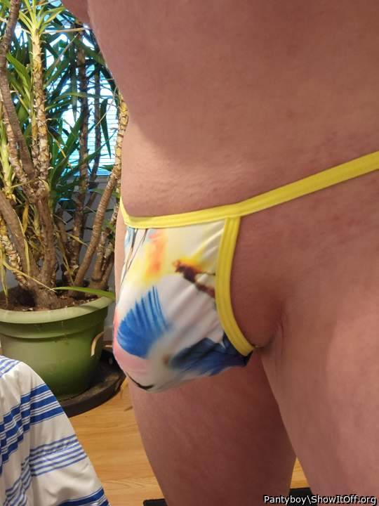 Photo of a cavalier from Pantyboy