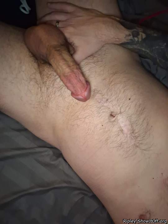 Photo of a dick from Ripley