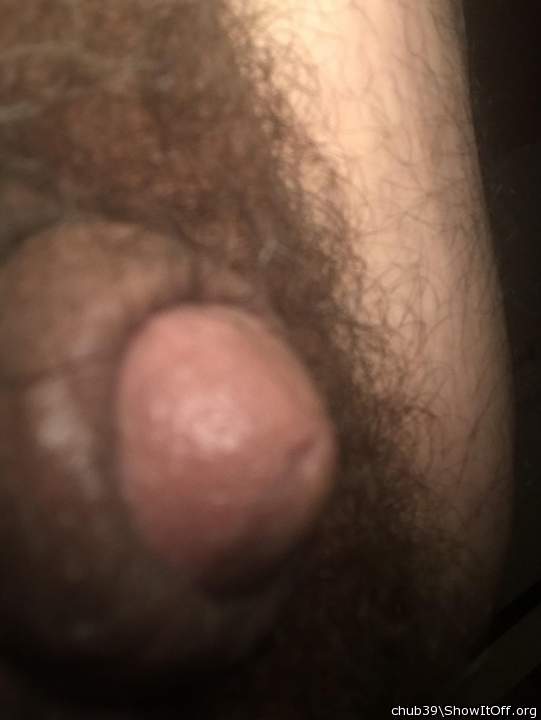 Photo of a sausage from chub39