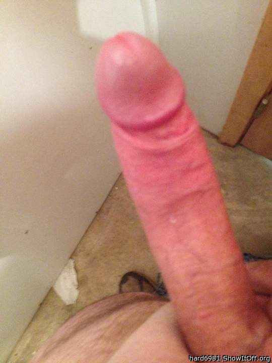 Photo of a python from Hard6981