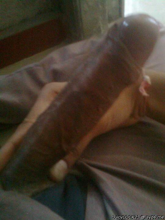 Photo of a pecker from juicyCOCK21