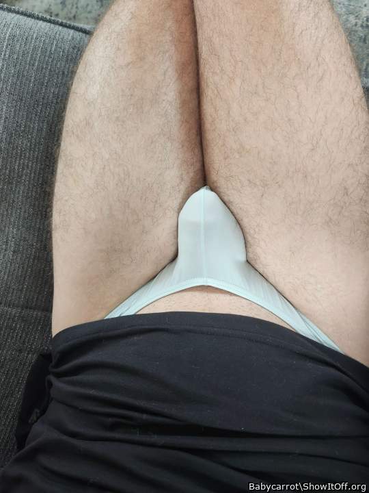 Just lounging this morning