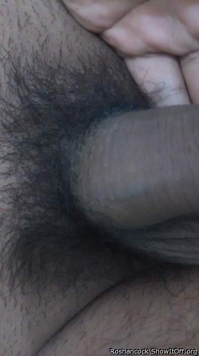 Photo of a weasel from roshancock