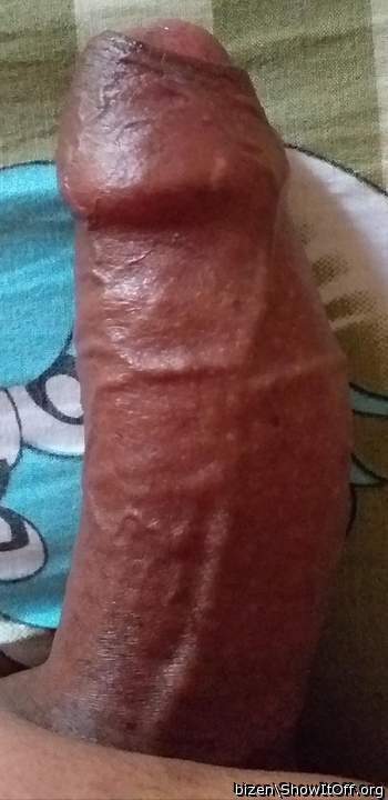 Photo of a boner from bizen