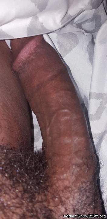Photo of a dick from eddier