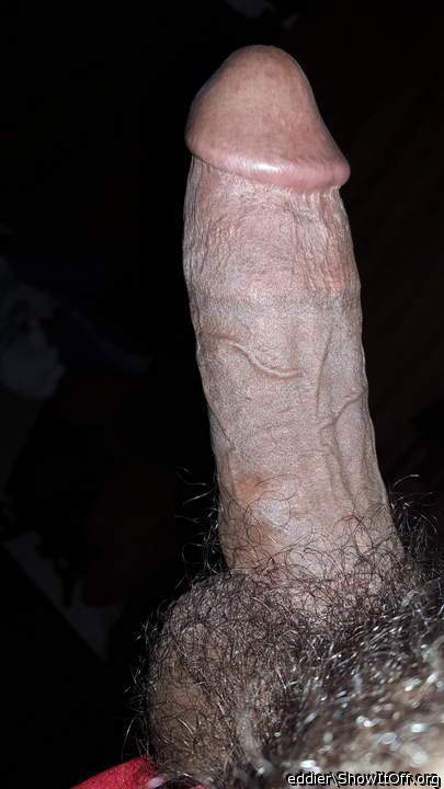 Photo of a bald-headed mouse from eddier