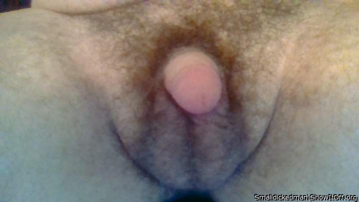 Photo of a weasel from Smalldickedman