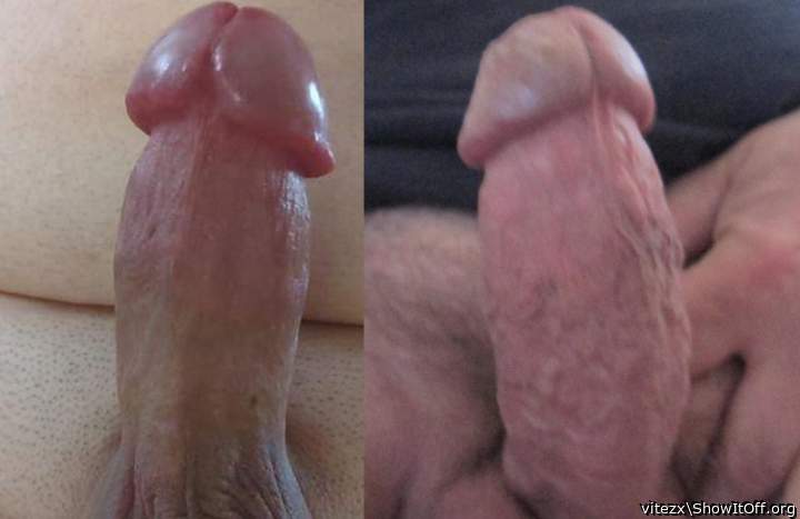 Whose dick is stronger and thicker? minosupples-left or vitezx-right