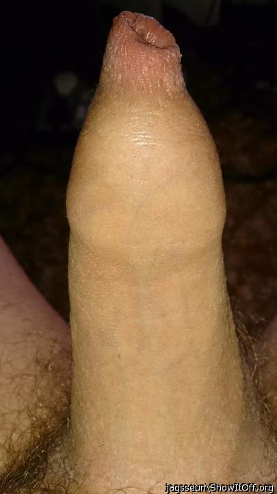 Beautiful foreskin