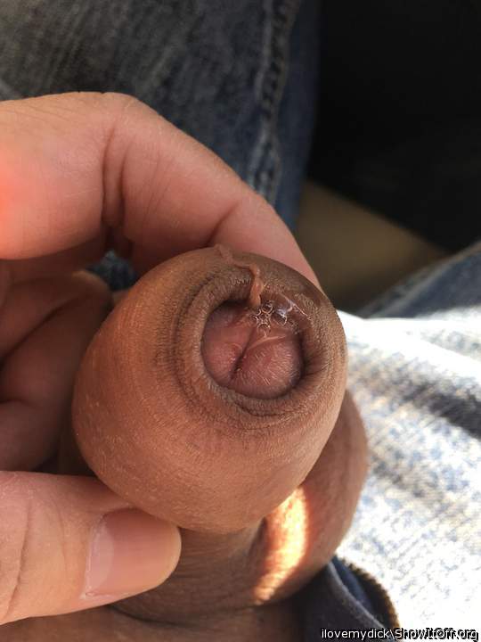 Photo of a pocket rocket from ilovemydick