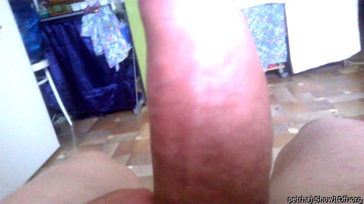 Photo of a third leg from petrhaj