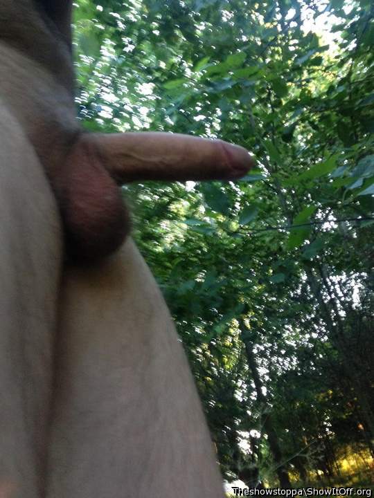 Photo of a penile from Theshowstoppa