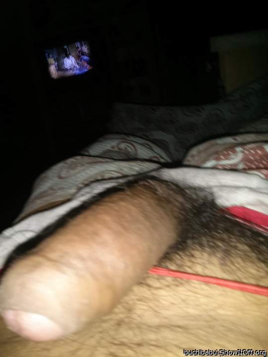 Photo of a weasel from pavan