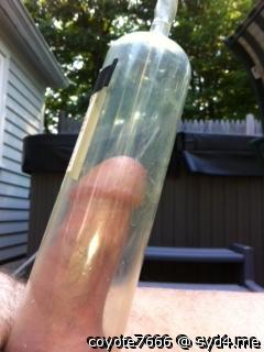 Photo of a bat from coyote7666