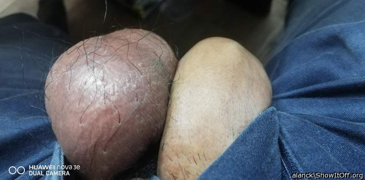 Photo of a wiener from alanck