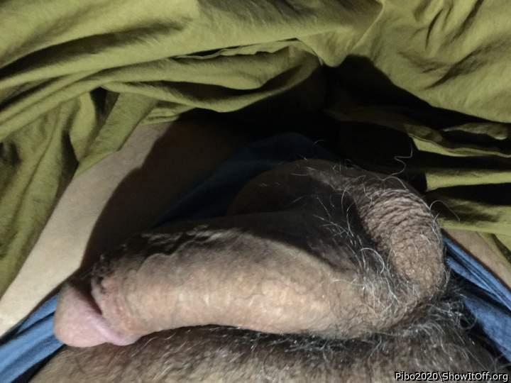 Photo of a bald-headed mouse from Pibo2020