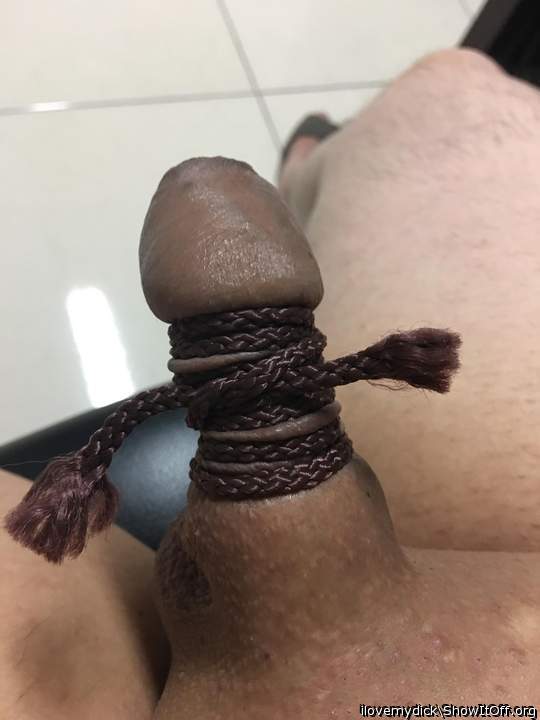 Photo of a bat from ilovemydick
