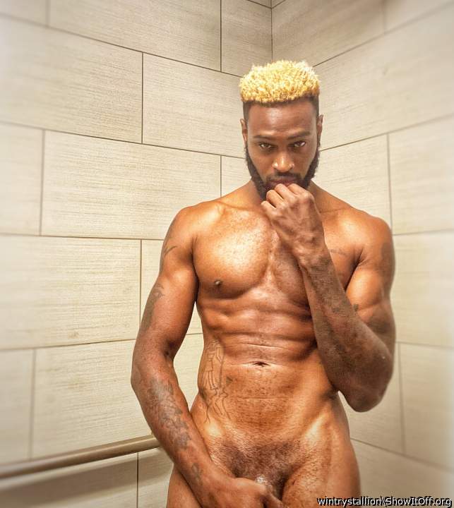 Photo of a dick from wintrystallion