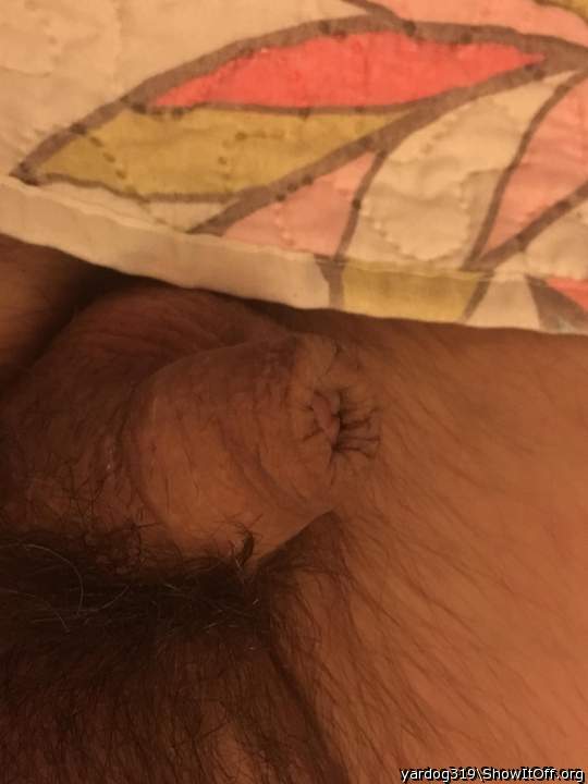 Photo of a thing from yardog319