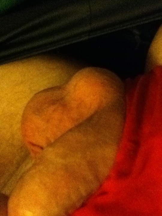 Testicles Photo from PoopSmith