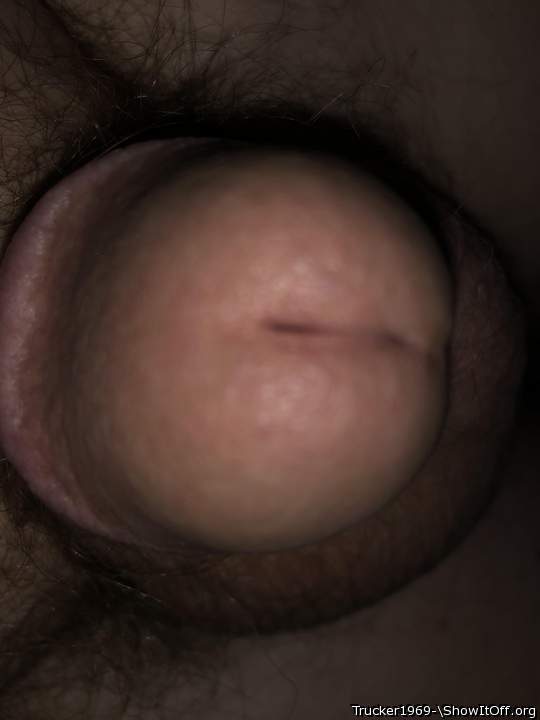 Photo of a pecker from Trucker1969-