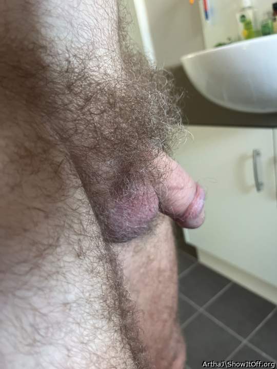   Beautiful bush!
