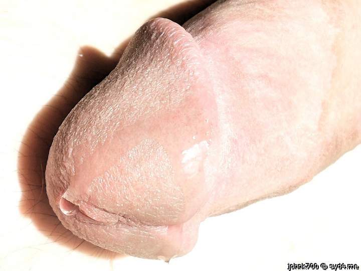 Photo of a weasel from johnk700