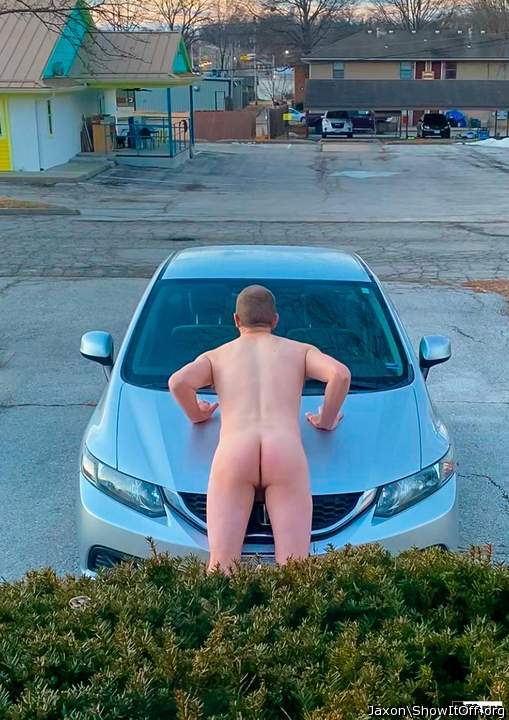 Love that hood ornament!