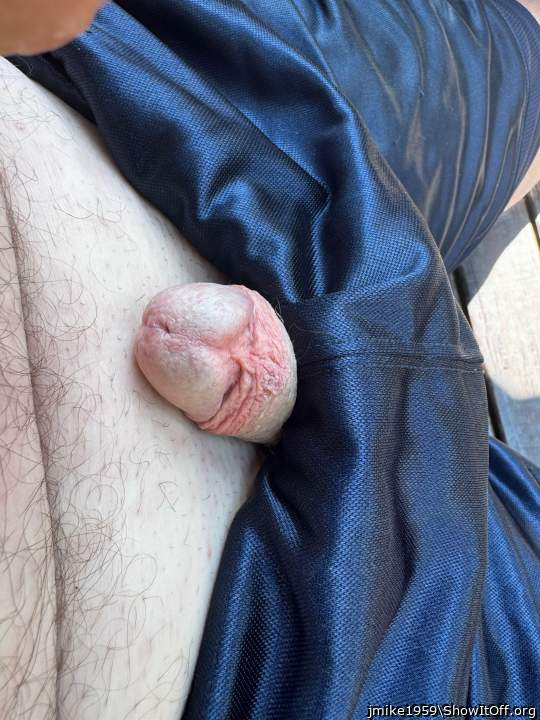 Photo of a cock from jmike1959