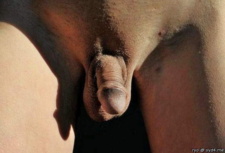 Photo of a dong from ryo