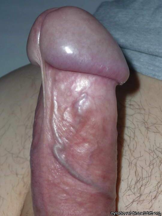 Photo of a stiffie from nylonlover