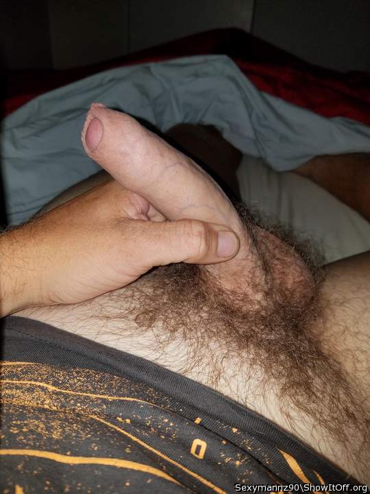 Nice looking uncut hairy cock 
