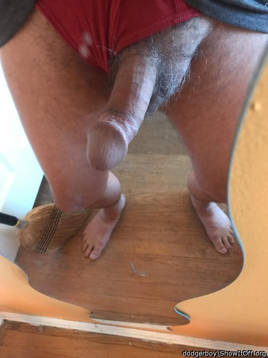 Photo of a cavalier from dodgerboy