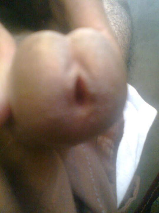 Photo of a schlong from luvmycock