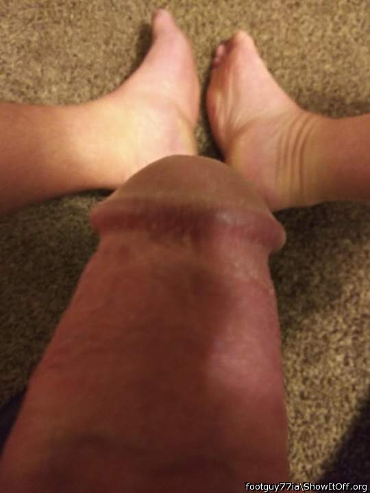 Photo of a weasel from footguy77ia