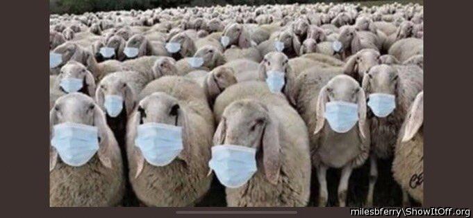 Commuters at Waterloo Station waiting to board the 5.45pm to Guildford