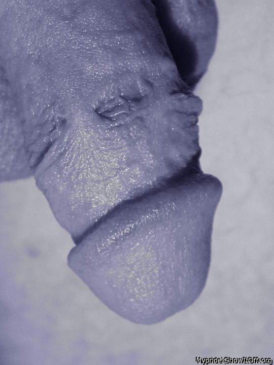 Photo of a horn from Mypride