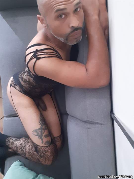 Photo of a bat from Don19