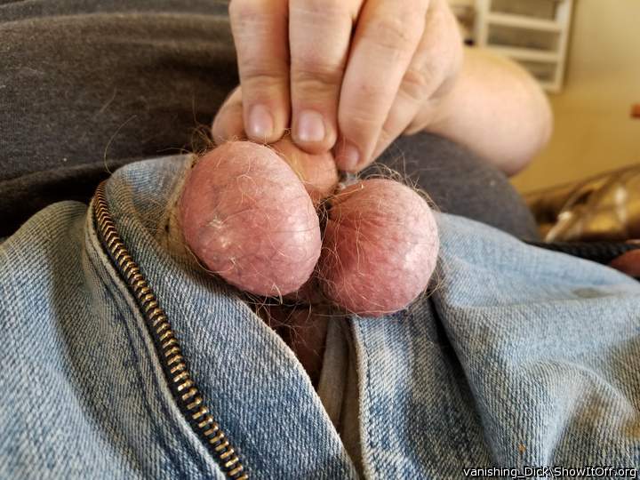Testicles Photo from vanishing_Dick